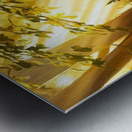 The path to the light 1 Metal print