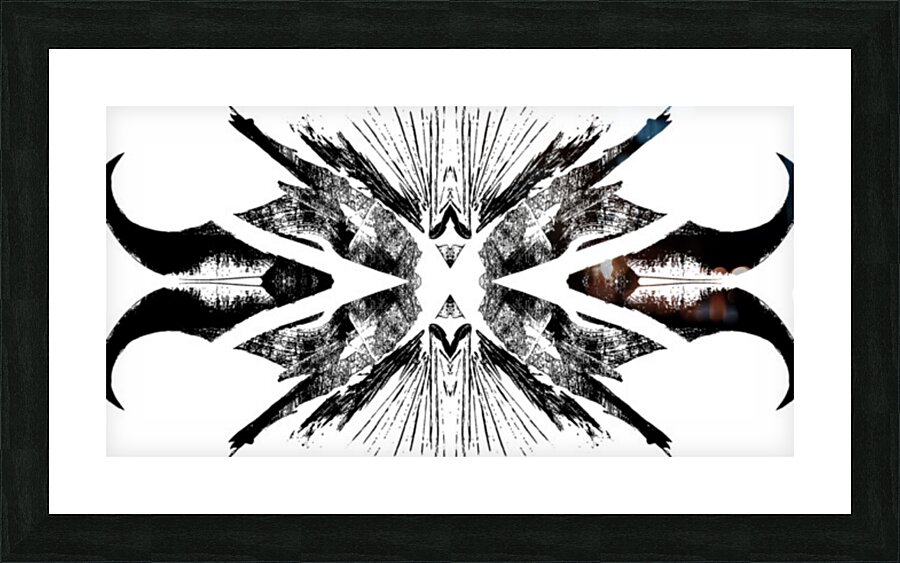 Falcon V1 hd Picture Frame print