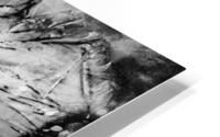 6 HD Metal print