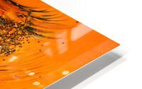 Dragon du Soleil HD Metal print