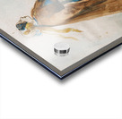 An Elegant Lady by Constantin Guys [1805–1892] Acrylic print