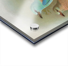 Coracias garrula by Johann Friedrich Naumann [1780–1857] Acrylic print