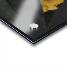 Madame Séraphin Henner [1901] by Jean–Jacques Henner [1829–1905] Acrylic print