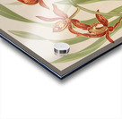 Cymbidium Hookerianum [1885] by Harriet Stewart Miner [1840–1895] Acrylic print