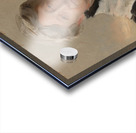 Mrs. Frederick Mead [Mary Eliza Scribner] [1893] by John Singer Sargent [1856–1925] Acrylic print