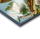 Die Insekten. Tausendfüssler und Spinnen Pl 11 [1877] by Alfred Edmund Brehm [1829–1884] Acrylic print