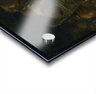 Basket of apples [1885] by Vincent van Gogh [1853–1890] Acrylic print