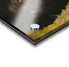 A Chief of Abyssinia [c. 1870] by Henri Regnault [1843–1871] Acrylic print