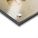 Der Hoffotograf Josef Löwy [1902] by Julius Victor Berger [1850–1902] Acrylic print