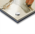 A Trompe L’œil With A Willow Ptarmigan Hanging From A Nail [1665] by Jacobus Biltius [1633–1681] Acrylic print