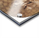 A Female Allegorical Figure [ca. 1740–50] by Giovanni Battista Tiepolo [1696–1770] Acrylic print