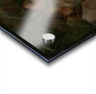 Steine im Gras [1860] by Hans Thoma [1839–1924] Acrylic print