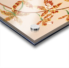 Odontoglossum Triumphans [1885] by Harriet Stewart Miner [1840–1895] Acrylic print