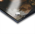 Vertumnus and Pomona [1647] by Hendrick Bloemaert [1601–1672] Acrylic print