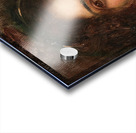 Portrait of a Young Woman in a Red Dress by Eduard Veith [1856–1925] Acrylic print