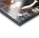 Portrait de Jane Hading [1890] by Alfred Philippe Roll [1846–1919] Acrylic print