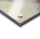 A Bellowing Stag by Moritz Müller [1841–1899] Acrylic print