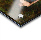 The Fitting [1887] by Georges Moreau de Tours [1848–1901] Acrylic print