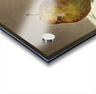 Three Pears and an Apple [1857] by David Johnson [1827–1908] Acrylic print