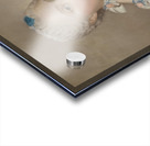 Maria Josepha of Saxony. Dauphine of France [1749] by Jean–Etienne Liotard [1702–1789] Acrylic print