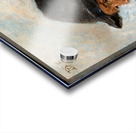 A Peasant by David Teniers The Younger [1610–1690] Acrylic print