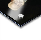 Portrait de Victor Hugo by Aimé Morot [1850–1913] Acrylic print