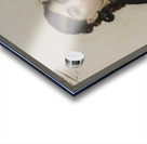 Portrait de Jacqueline Comerre–Paton en robe noire [1879] by Léon François Comerre [1850–1916] Acrylic print