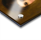 Portrait of Henrietta Lowy Solomon. The Artist’s Sister by Solomon Joseph Solomon [1860–1927] Acrylic print