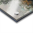 La comtesse de Castiglione by Georges Jules Victor Clairin [1843–1919] Acrylic print