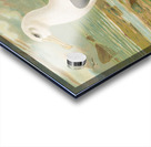 Diomedea melanophrys Boie. Schwarzzugeliger Albatros by Johann Friedrich Naumann [1780–1857] Acrylic print