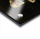 Portrait de M. Victor Hugo [1879] by Léon Bonnat [1833–1922] Acrylic print