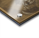 The Rape of Ganymede [c. 1545] by Nicolò dell’Abate [1509–1571] Acrylic print