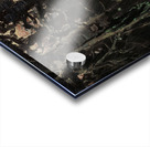 Ivan Zarevitsh [1880] by Victor Mikhailovich Vasnetsov [1848–1926] Acrylic print