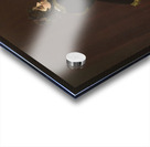 Camille [The Woman in the Green Dress] [1866] by Claude Monet [1840–1926] Acrylic print