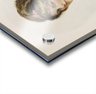 Harrison Fisher girls Pl.8 [1914] by Harrison Fisher [1877–1934] Acrylic print