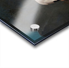 Foxhound on the Scent [ca. 1760] by George Stubbs [1724–1806] Acrylic print