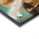 Two Camels [1853–1854] by Henryk Rodakowski [1823–1894] Acrylic print