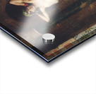 The Harem Beauty by Henri Adrien Tanoux [1865–1923] Acrylic print