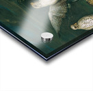 Weiße Jagdfalken Mit Einem Fischreiher [1748] by Philipp Ferdinand de Hamilton [ca. 1664–1750] Acrylic print