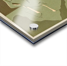 Novissima Pl.68 [1901–1905] by Edoardo de Fonseca [Editor] [1867–1936] Acrylic print