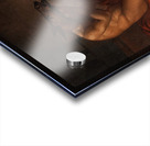 The Metomorphosis Of Lucius by C.F. Høyer [1775–1855] Acrylic print