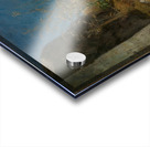 Gräser zwischen Felsen [1863] by Hans Thoma [1839–1924] Acrylic print