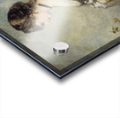 Magdalena Plach [1870] by Hans Makart [1840–1884] Acrylic print