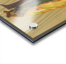 Auxergyl [1910–1950] by Laboratoires du docteur Roussel [20th Century] Acrylic print