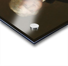 Thomas Jefferson [1848–1879] by George Peter Alexander Healy [1813–1894] Acrylic print