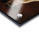 Lili Marberg as Salome [c. 1905] by Leopold Schmutzler [1864–1941] Acrylic print