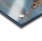 Sapho [1894] by Ary Cornelis Renan [1857–1900] Acrylic print