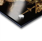 Allegory of Vanity [1632–1636] by Antonio de Pereda [1611–1678] Acrylic print