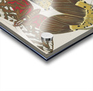 Papillons Pl.14 [1920] by Emile–Allain Séguy [1877–1951] Acrylic print