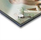 Garrulus glandarius by Johann Friedrich Naumann [1780–1857] Acrylic print